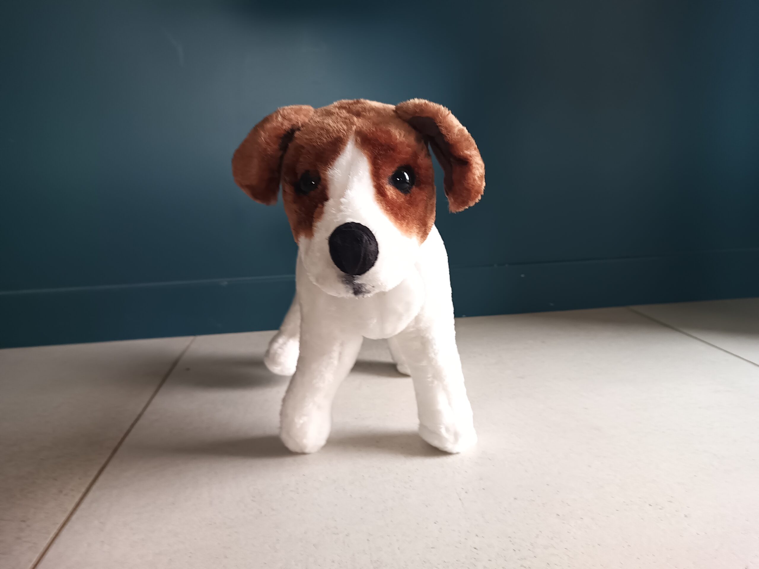 Le PECCRAM : Programme d’Education à la Connaissance du Chien et aux Risques d’Accidents par Morsures